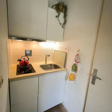 Apartment Elie, Gare, Polygone Scientifique *