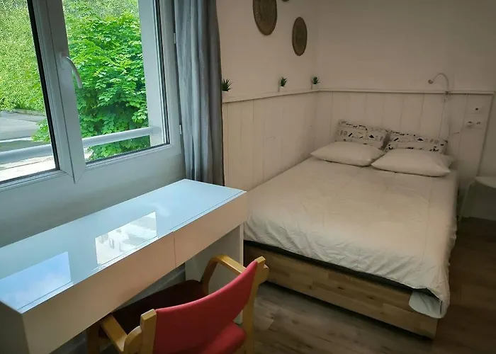 Apartment Elie, Gare, Polygone Scientifique Grenoble